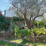 Apartmani Vuk