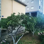 Rustic House Budva