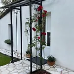 Tara Lapcici Budva