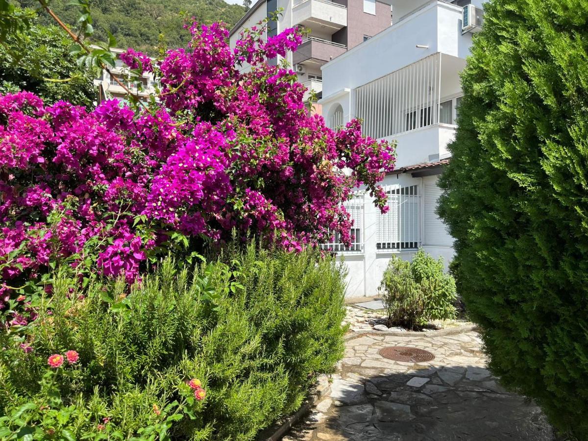 Apartman Stella