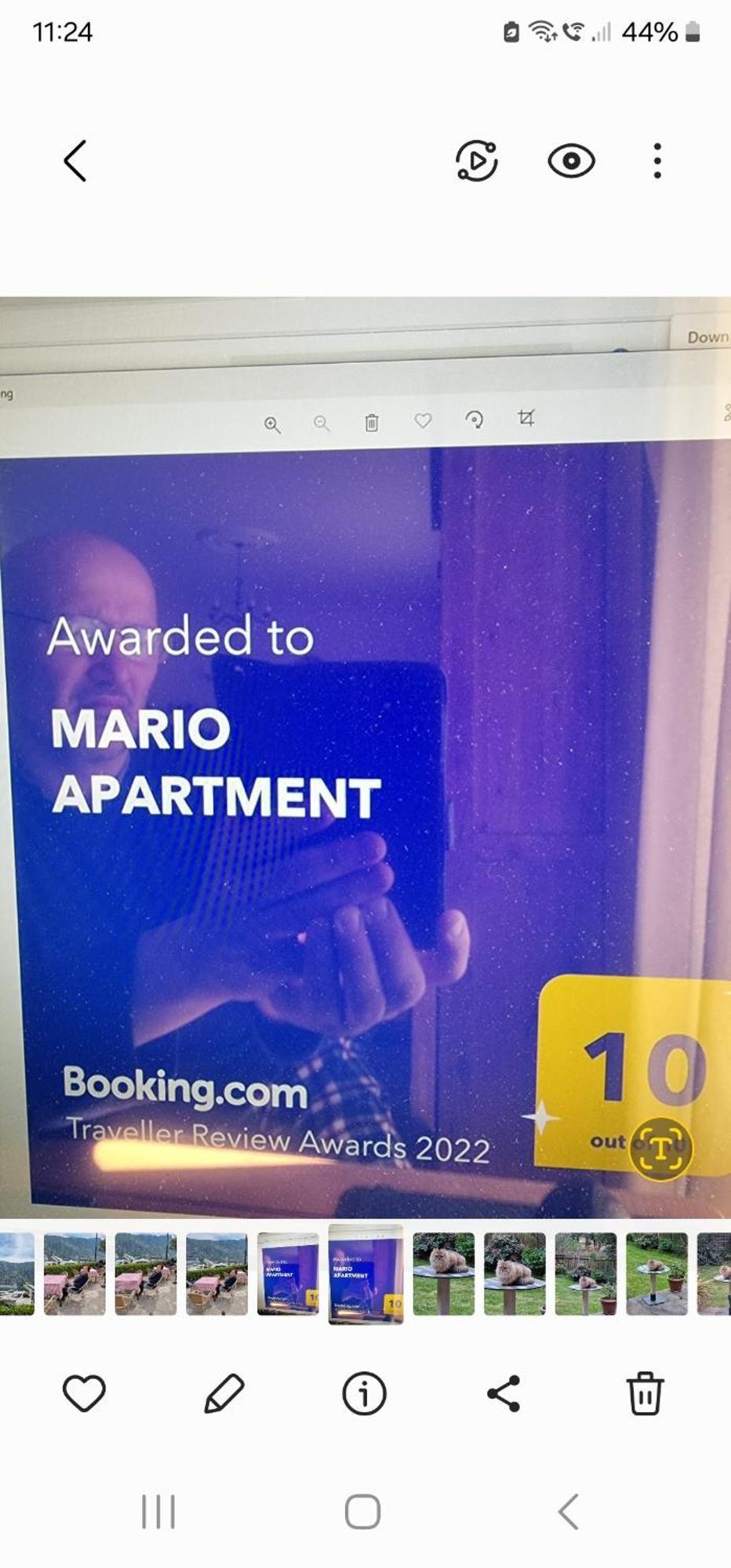 Bulevar Apartment Budva